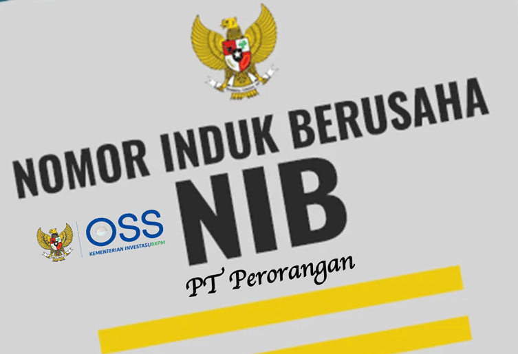 cara membuat nib pt perorangan